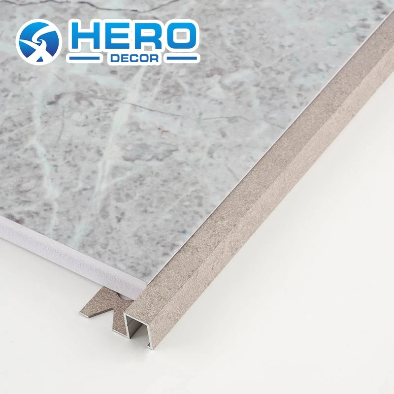 برس لبه استیل ضد زنگ